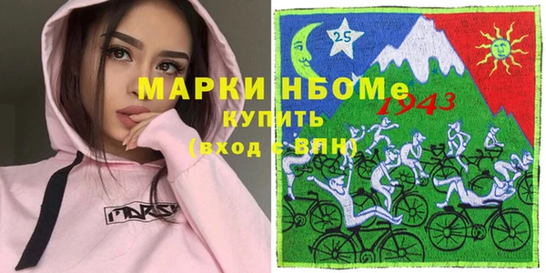 индика Саяногорск