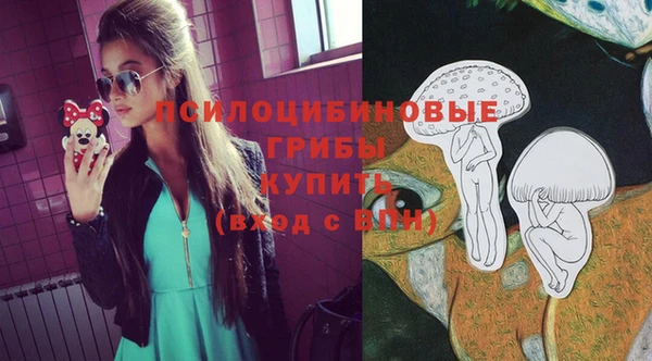 мяу мяу мука Сатка