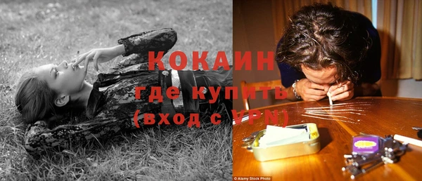 индика Саяногорск