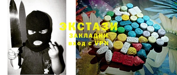 индика Саяногорск