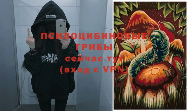 мяу мяу мука Сатка