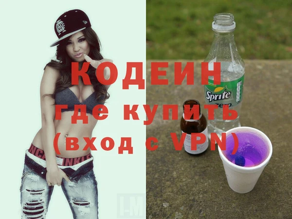 индика Саяногорск
