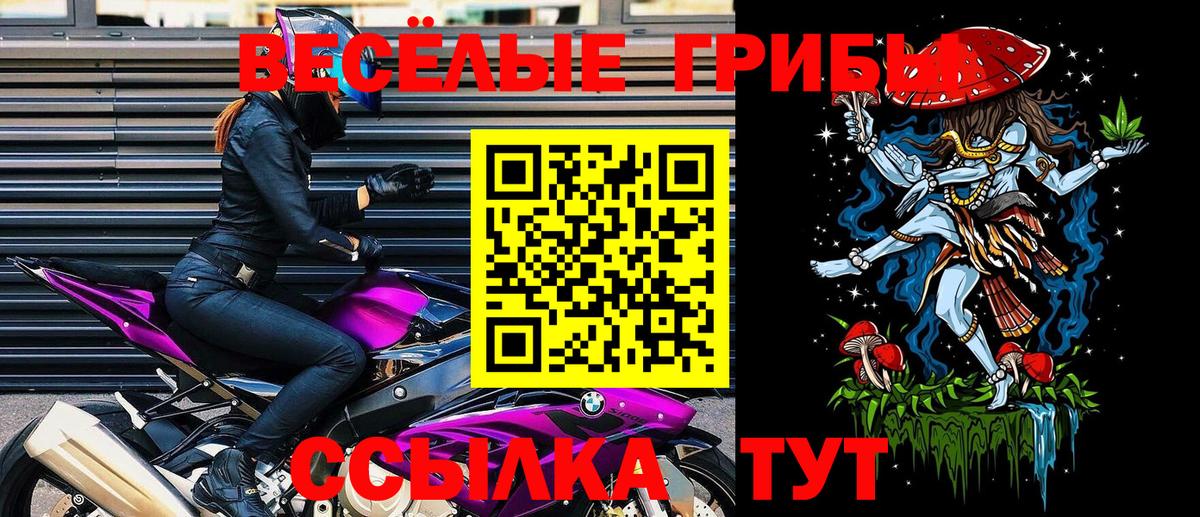 Галлюциногенные грибы Psilocybine cubensis  купить наркотики цена  Зерноград  Вход с VPN 