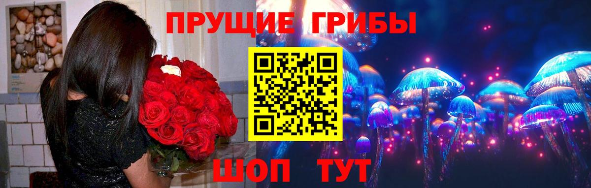 Псилоцибиновые грибы прущие грибы Зерноград